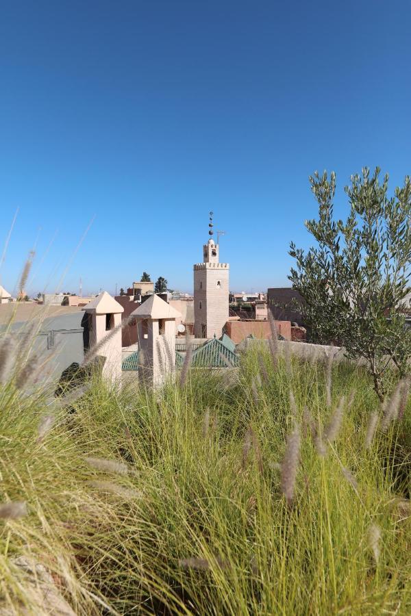 Riad Zaouia 44 Marrakesh Extérieur photo